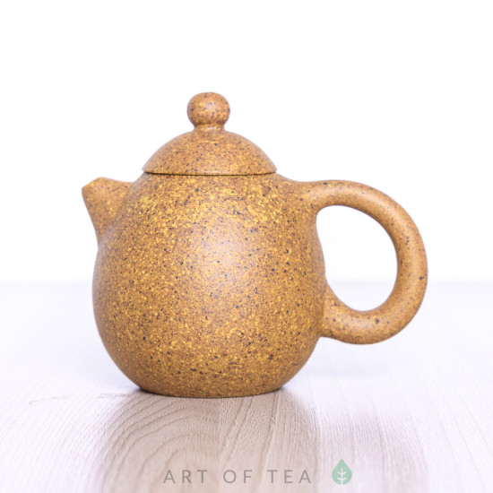 Чайник для чайной церемонии из исинской глины т283, 100 мл