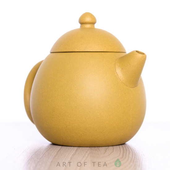 Чайник для чайной церемонии из исинской глины т846, 260 мл