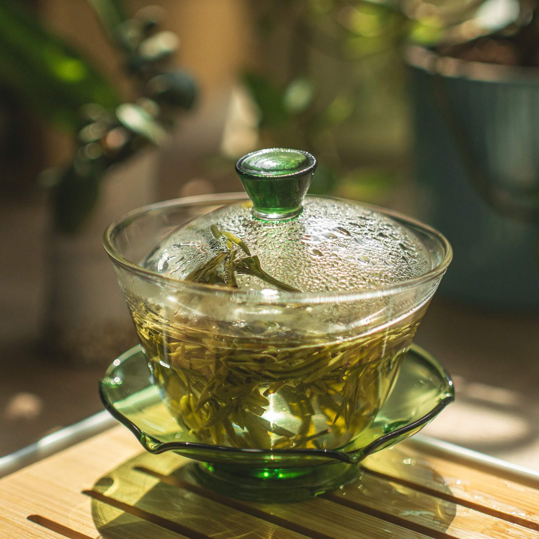 Правильная температура воды для заваривания зеленого чая